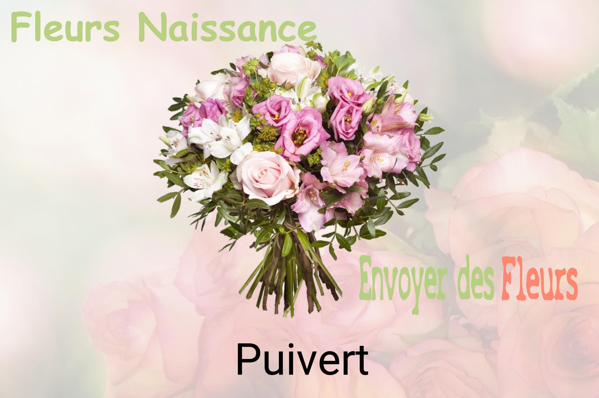 Bouquet de fleurs de naissance livré à Puivert